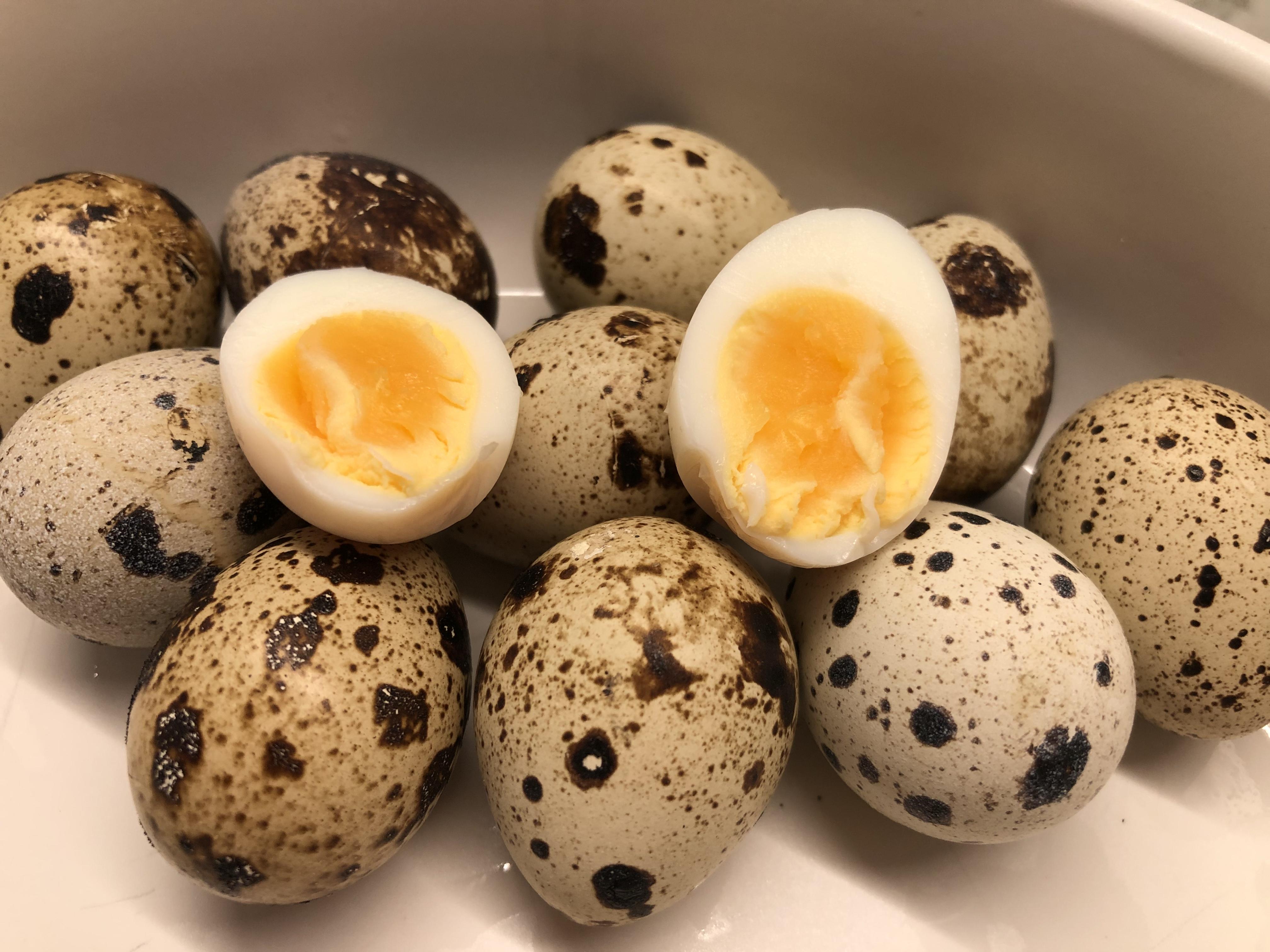 Quail Eggs